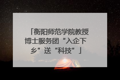 衡阳师范学院教授博士服务团“入企下乡”送“科技”
