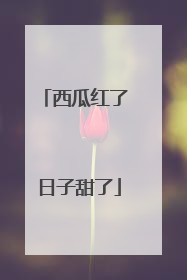 西瓜红了 日子甜了