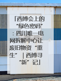 西博会上的“绿色密码”：四川唯一电网拆解中心让废旧物资“重生”｜西博寻“新”记