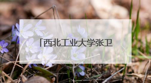 西北工业大学张卫红院士荣获J.N.Reddy奖章