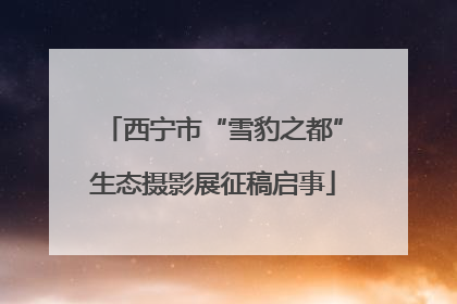 西宁市“雪豹之都”生态摄影展征稿启事