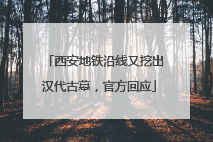 西安地铁沿线又挖出汉代古墓，官方回应