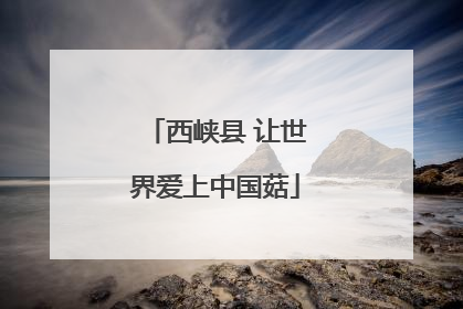 西峡县 让世界爱上中国菇