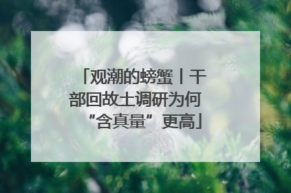观潮的螃蟹丨干部回故土调研为何“含真量”更高