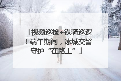 视频巡检+铁骑巡逻！端午期间，冰城交警守护“在路上”