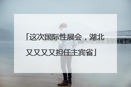 这次国际性展会，湖北又又又又担任主宾省