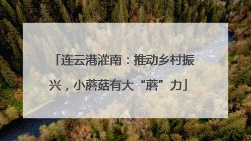 连云港灌南：推动乡村振兴，小蘑菇有大“蘑”力