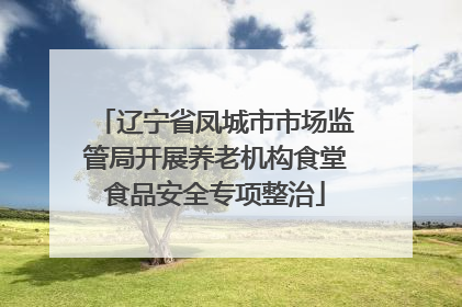 辽宁省凤城市市场监管局开展养老机构食堂食品安全专项整治