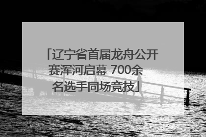 辽宁省首届龙舟公开赛浑河启幕 700余名选手同场竞技