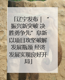 辽宁发布｜“振兴新突破 决胜勇争先”阜新以项目攻坚破解发展瓶颈 经济发展实现良好开局