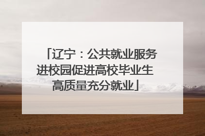 辽宁：公共就业服务进校园促进高校毕业生高质量充分就业