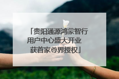 贵阳通源鸿蒙智行用户中心盛大开业 获首家尊界授权