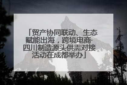 贸产协同联动、生态赋能出海，跨境电商·四川制造源头供需对接活动在成都举办