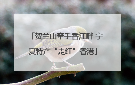 贺兰山牵手香江畔 宁夏特产“走红”香港