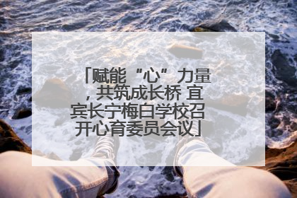 赋能“心”力量，共筑成长桥 宜宾长宁梅白学校召开心育委员会议