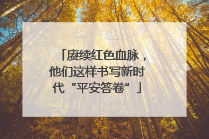 赓续红色血脉，他们这样书写新时代“平安答卷”