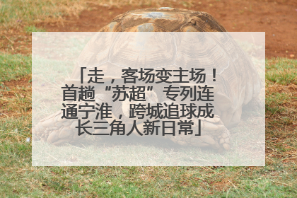 走，客场变主场！首趟“苏超”专列连通宁淮，跨城追球成长三角人新日常