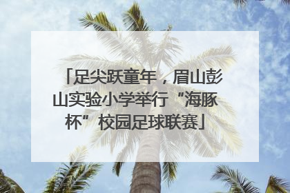 足尖跃童年，眉山彭山实验小学举行“海豚杯”校园足球联赛