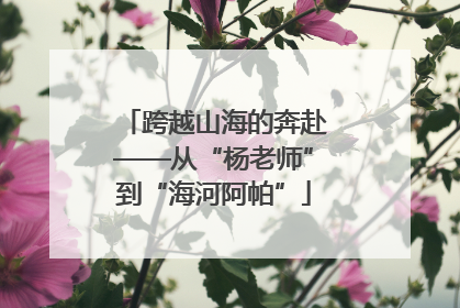 跨越山海的奔赴——从“杨老师”到“海河阿帕”