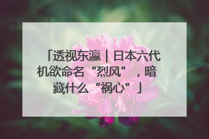透视东瀛｜日本六代机欲命名“烈风”，暗藏什么“祸心”