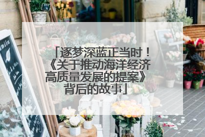 逐梦深蓝正当时！《关于推动海洋经济高质量发展的提案》背后的故事