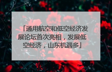 通用航空和低空经济发展论坛首次亮相，发展低空经济，山东机遇多