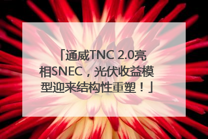 通威TNC 2.0亮相SNEC，光伏收益模型迎来结构性重塑！