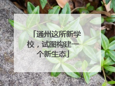 通州这所新学校，试图构建一个新生态