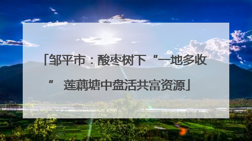 邹平市：酸枣树下“一地多收” 莲藕塘中盘活共富资源