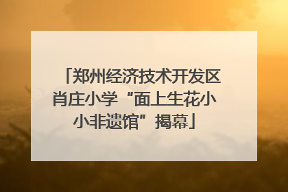 郑州经济技术开发区肖庄小学“面上生花小小非遗馆”揭幕