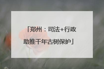 郑州：司法+行政助推千年古树保护