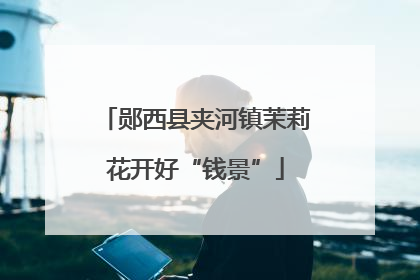 郧西县夹河镇茉莉花开好“钱景”