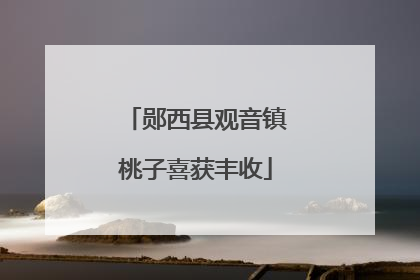 郧西县观音镇桃子喜获丰收