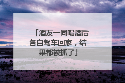 酒友一同喝酒后各自驾车回家，结果都被抓了