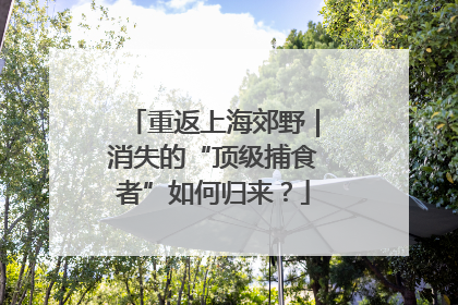 重返上海郊野｜消失的“顶级捕食者”如何归来？