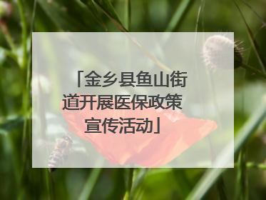 金乡县鱼山街道开展医保政策宣传活动