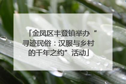 金凤区丰登镇举办“寻迹民俗：汉服与乡村的千年之约”活动