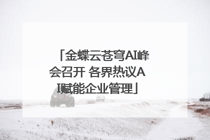 金蝶云苍穹AI峰会召开 各界热议AI赋能企业管理