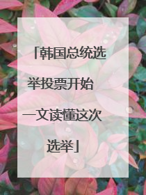 韩国总统选举投票开始 一文读懂这次选举