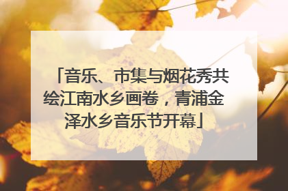 音乐、市集与烟花秀共绘江南水乡画卷，青浦金泽水乡音乐节开幕