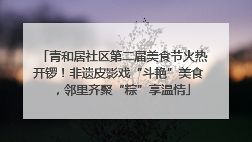 青和居社区第二届美食节火热开锣！非遗皮影戏“斗艳”美食，邻里齐聚“粽”享温情