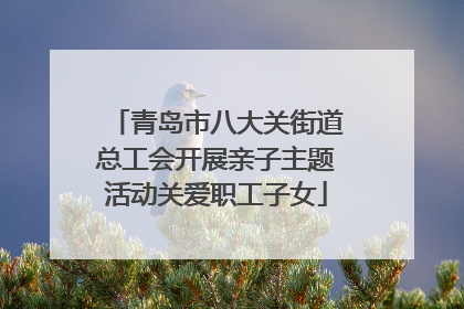 青岛市八大关街道总工会开展亲子主题活动关爱职工子女