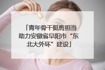 青年骨干挺膺担当 助力安徽省阜阳市“东北大外环”建设