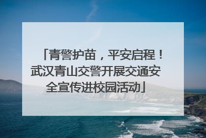 青警护苗，平安启程！武汉青山交警开展交通安全宣传进校园活动