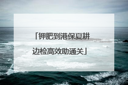 钾肥到港保夏耕 边检高效助通关