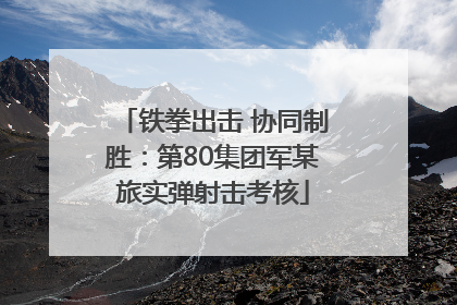 铁拳出击 协同制胜：第80集团军某旅实弹射击考核