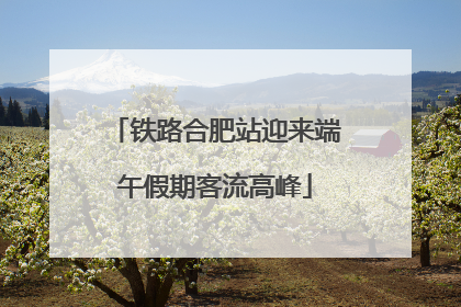 铁路合肥站迎来端午假期客流高峰