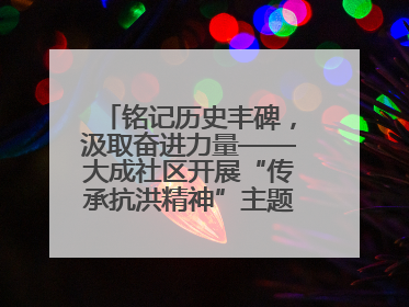 铭记历史丰碑，汲取奋进力量——大成社区开展“传承抗洪精神”主题党日活动