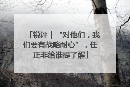 锐评｜“对他们，我们要有战略耐心”，任正非给谁提了醒
