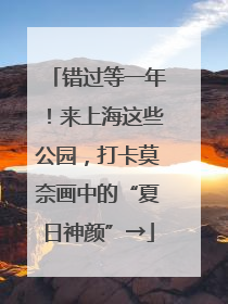 错过等一年！来上海这些公园，打卡莫奈画中的“夏日神颜”→
